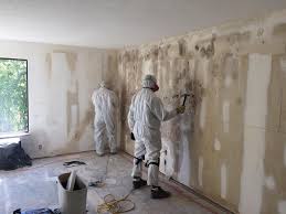 Best Mold Remediation for Vacation Homes  in Midway North, TX